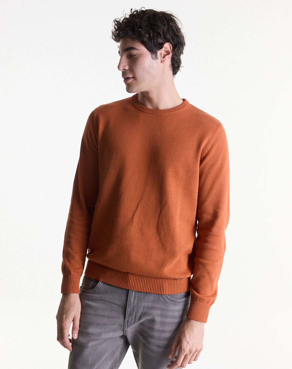 Sweater Calvino